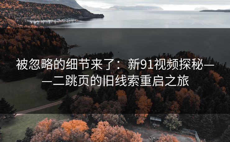 被忽略的细节来了：新91视频探秘——二跳页的旧线索重启之旅