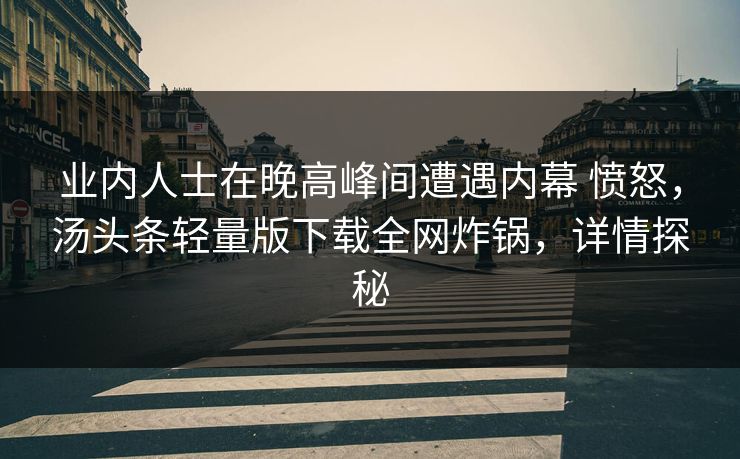 业内人士在晚高峰间遭遇内幕 愤怒，汤头条轻量版下载全网炸锅，详情探秘